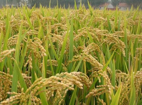 點擊查看詳細信息<br>標題：   閱讀次數：2952